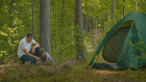 father teaches a boy of 3 years to set up a tent in a hike in the pine forest. father and son put up a tent together for the night in the woods