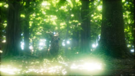 great red deer in a green forest