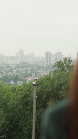 woman enjoys cityscape under grey sky. brunette lady performs pensive mood against large town in nasty weather. melancholic emotions on rainy season