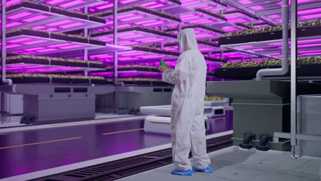 full body back view of asian male scientist use mock up green screen smartphone while standing in vertical farm