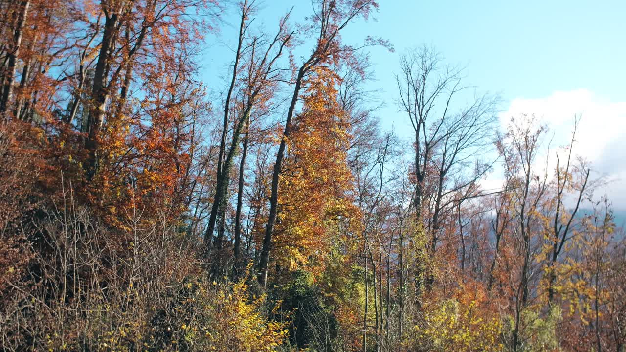 Beautiful autumn scenery in Weesen, Glarus, Switzerland with colorful trees