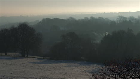 Establishing-Aerial-Drone-Shot-of-Trees-and-Fields-on-Frosty-Winter-Morning-Hazy-Misty-at-Golden-Hour