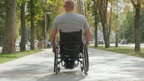 man with disabilities in wheelchair walk at the park alley