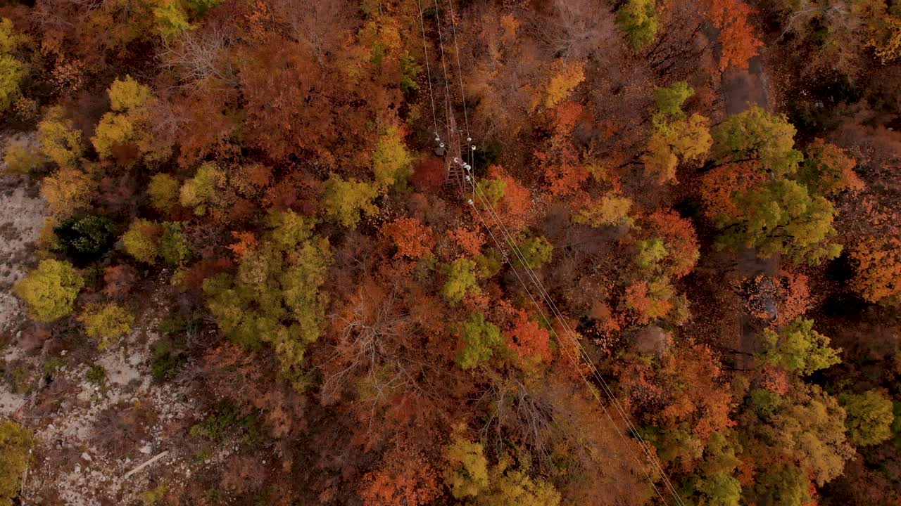 postes de cable eléctrico y carretera de camión en la montaña con árboles de bosque marrón amarillo