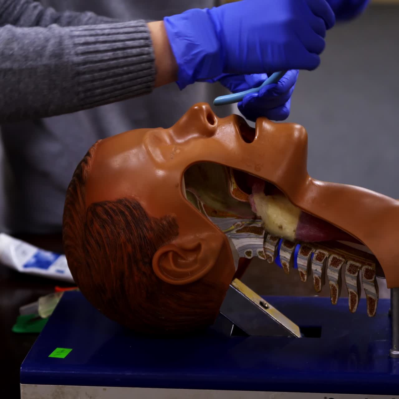 Reanimation training. Trainer demonstrates medical procedure on a dummy head. CPR procedure. Close-up.