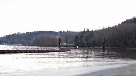 various shots at barnet marine park in bc, canada on a nice winter day