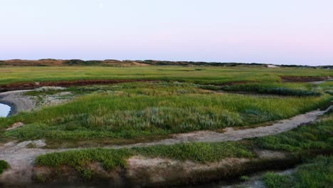 Aerial-Flying-Over-Salt-Marshes-in-Dune-lands,-Slufter-wetlands-and-sea-delta-At-Texel-Landscape-In-Netherlands