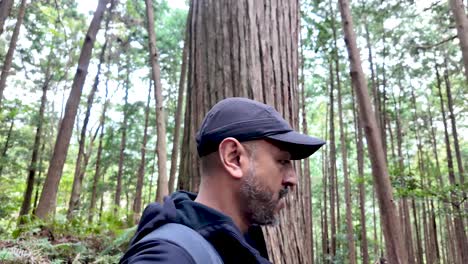 young south asian man wearing a baseball cap hiking along a forest trail, surrounded by towering giant cedar trees and lush greenery
