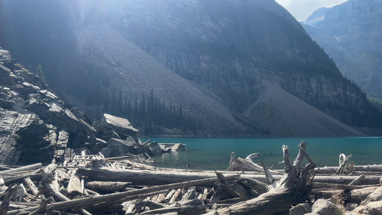 fotografía estática de rocas y troncos caídos en las orillas del lago moraine, banff, canadá