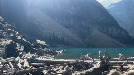 static shot of rock and fallen logs on shores of moraine lake, banff, canada