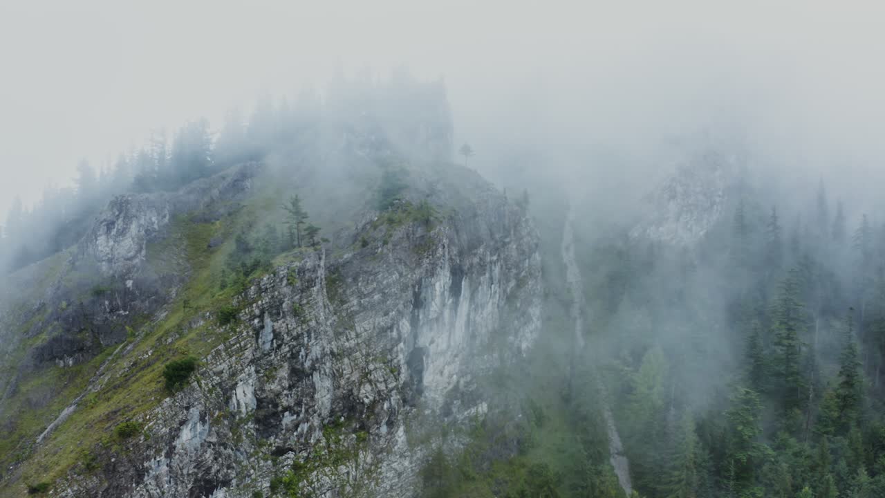 안개가 가득한 산꼭대기