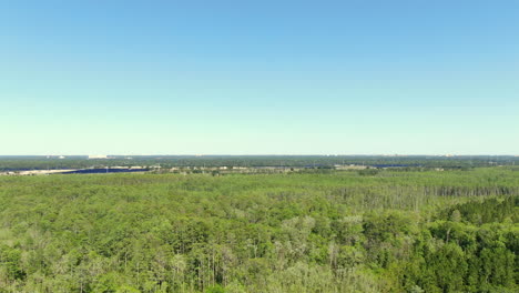 Fliegen-über-Einen-üppigen-Wald-Mit-Einem-Solarpark-In-Der-Ferne