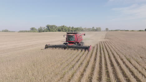 aerial low-to-the-ground shot of combine harvester harvesting dry soybeans on rural farm