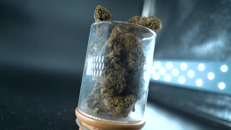 un zoom rotativo detallado en gimbal de una planta de cannabis, flor de marihuana en un vidrio brillante, cepas híbridas, indica y sativa, cámara lenta de 120 fps en alta definición, iluminación de estudio cinematográfico