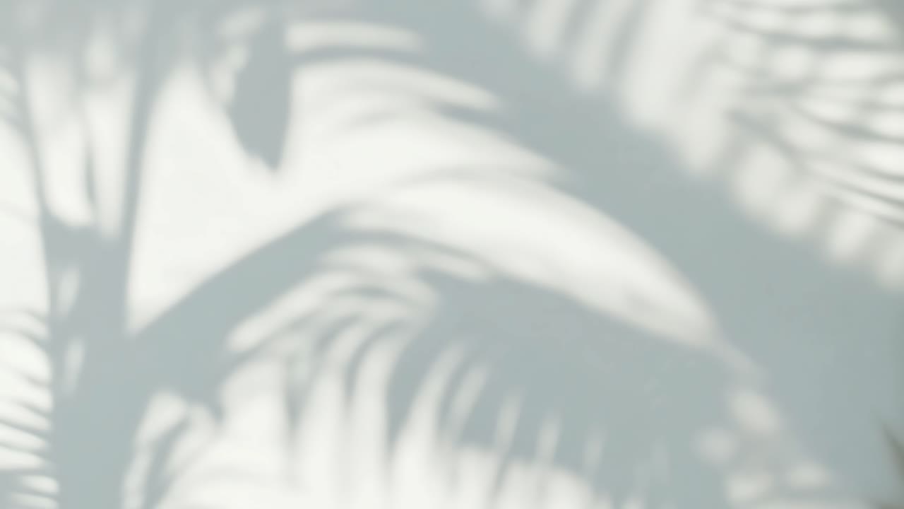 Soft-focus video of palm leaf shadows on a white wall, creating a serene, tropical ambiance