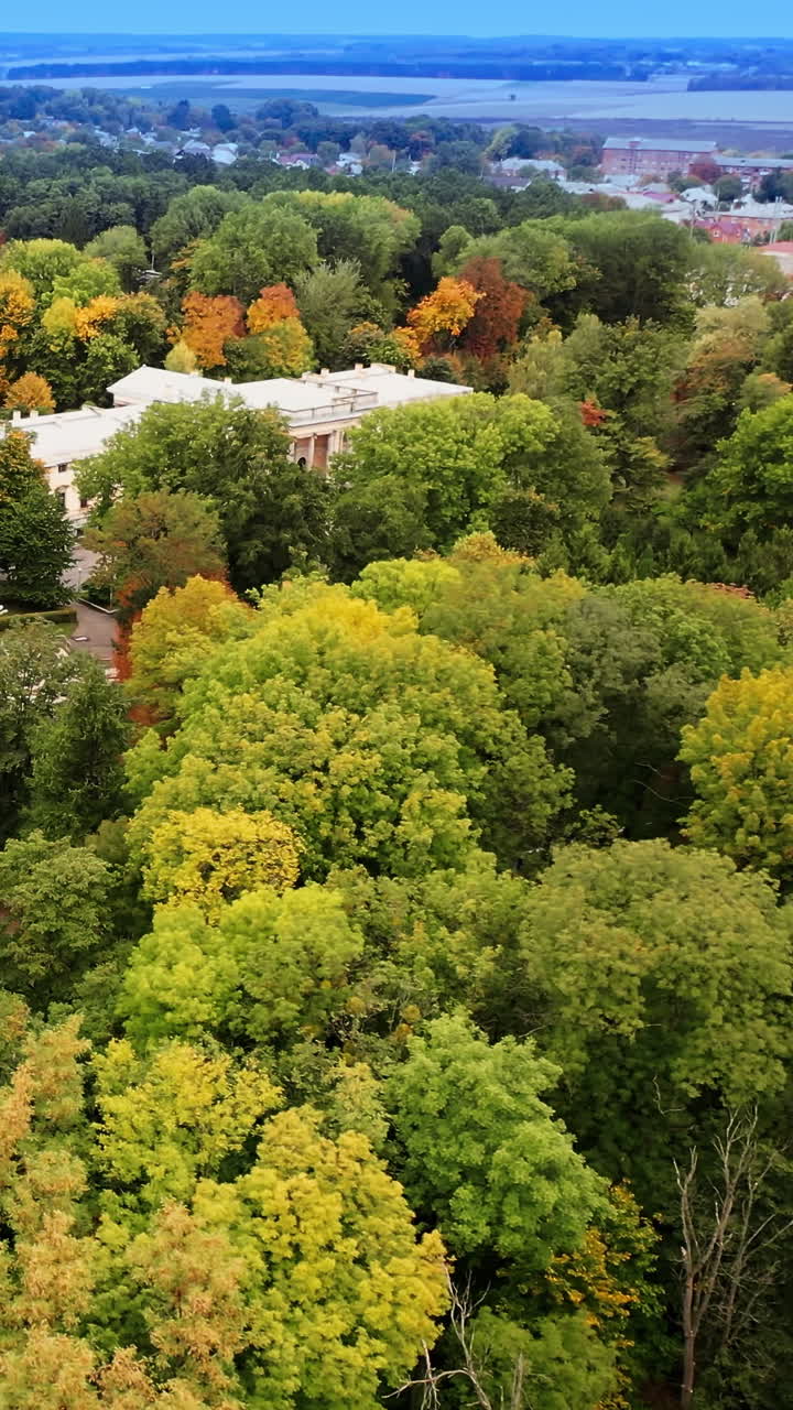 Beautiful trees of different colors growing around the marvelous palace. Cityscape at backdrop in haze. Vertical video