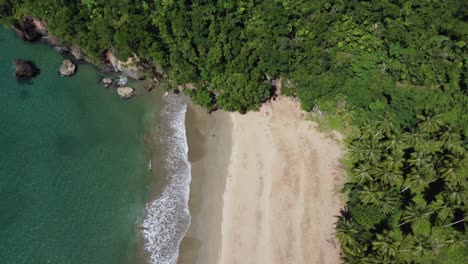 aerial view of picturesque el valle beach on the samaná peninsula in the dominican republic