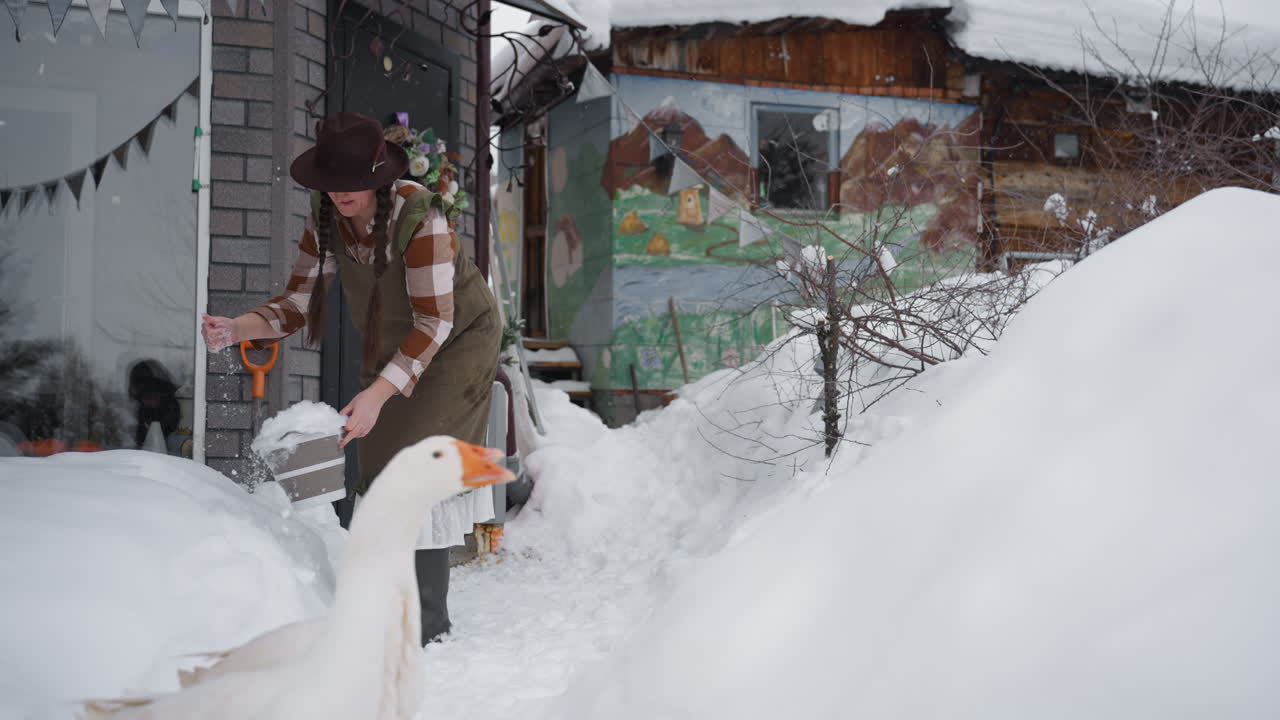 Creative packing snow into bucket with bare hands while stepping through snowy threshold of rustic wooden house, shutting door behind, two geese watching nearby, winter outdoors under overcast sky