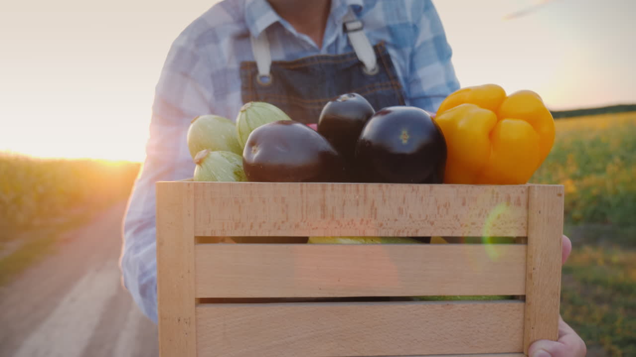 granjero sosteniendo una caja de madera llena de verduras frescas al atardecer