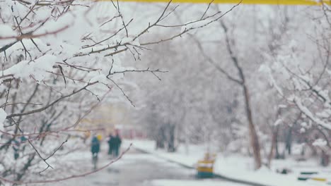 Delgadas-Ramas-De-árboles-Con-Nieve-Blanca-Derritiéndose-En-Un-Día-Cálido