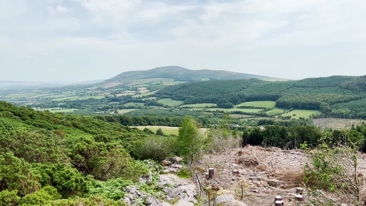deforestación aérea drone view-2