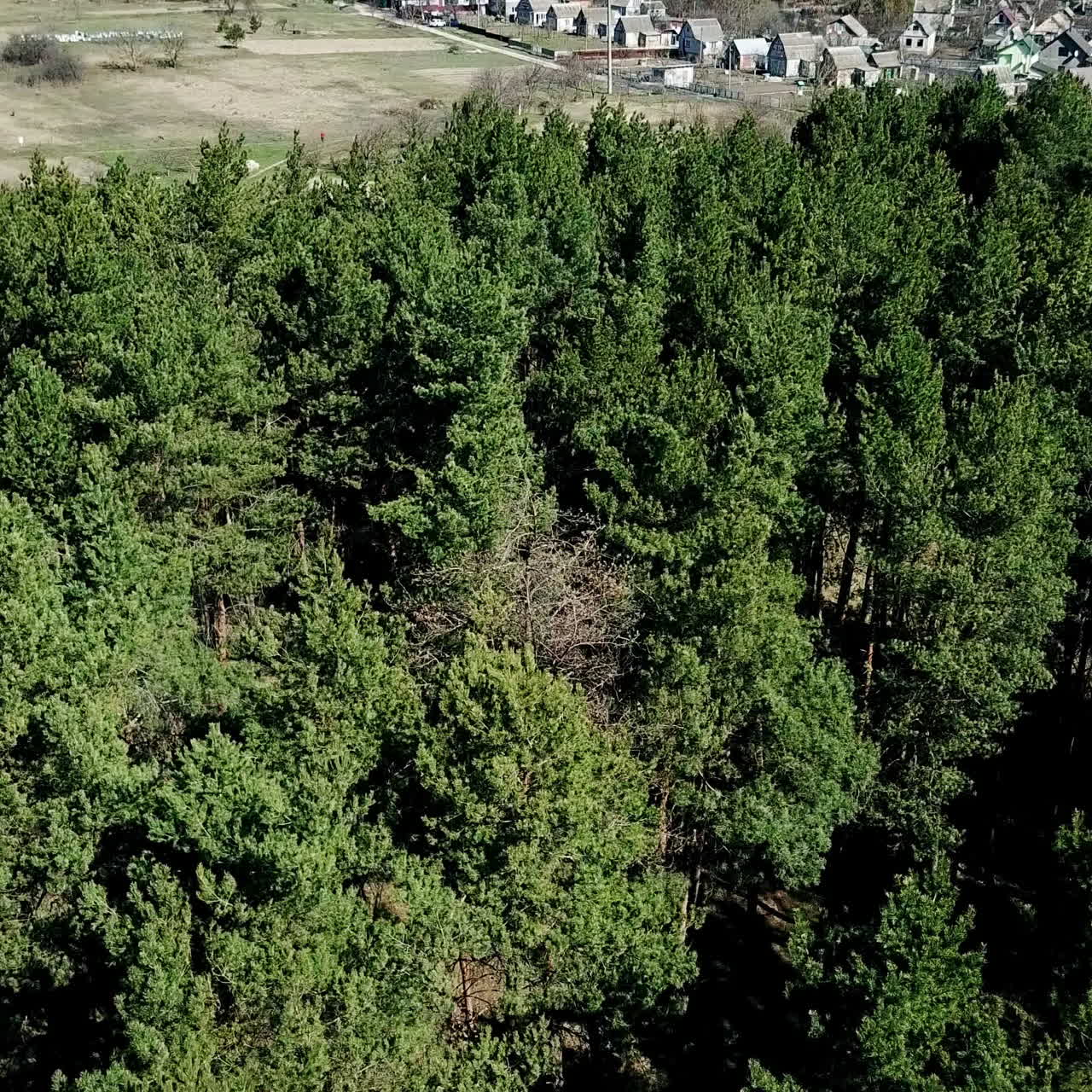Aerial View. Flying over the beautiful sunny forest trees. Landscape panorama.