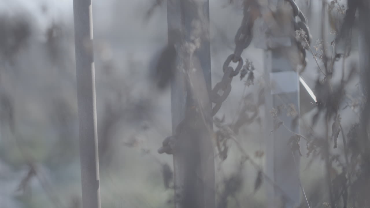 포커스 로그 밖의 전면에 식물과 함께 버려진 산업 구역의 울타리에 녹색 체인과 잠금의 가까운