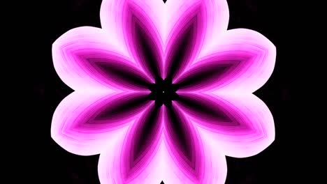 relaxing kaleidoscope of a pink and white colored flower