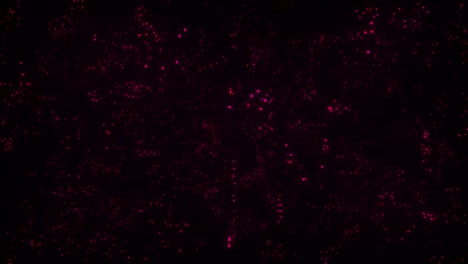 fondo de puntos abstractos. partículas iluminadas en rojo. profundidad de campo. iluminación abstracta, polvo, partículas y deslumbramiento en un fondo oscuro. tecnología futurista. bokeh. animación de bucle 3d, vj, 4k