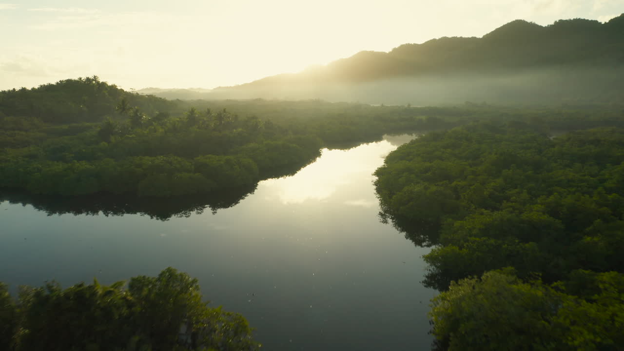 View of mangrove and palmtrees during sunrise on Siargao Island, Philippines.