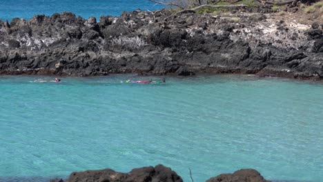 a family of three snorkeling in the tropical blue waters of the big island, hawaii