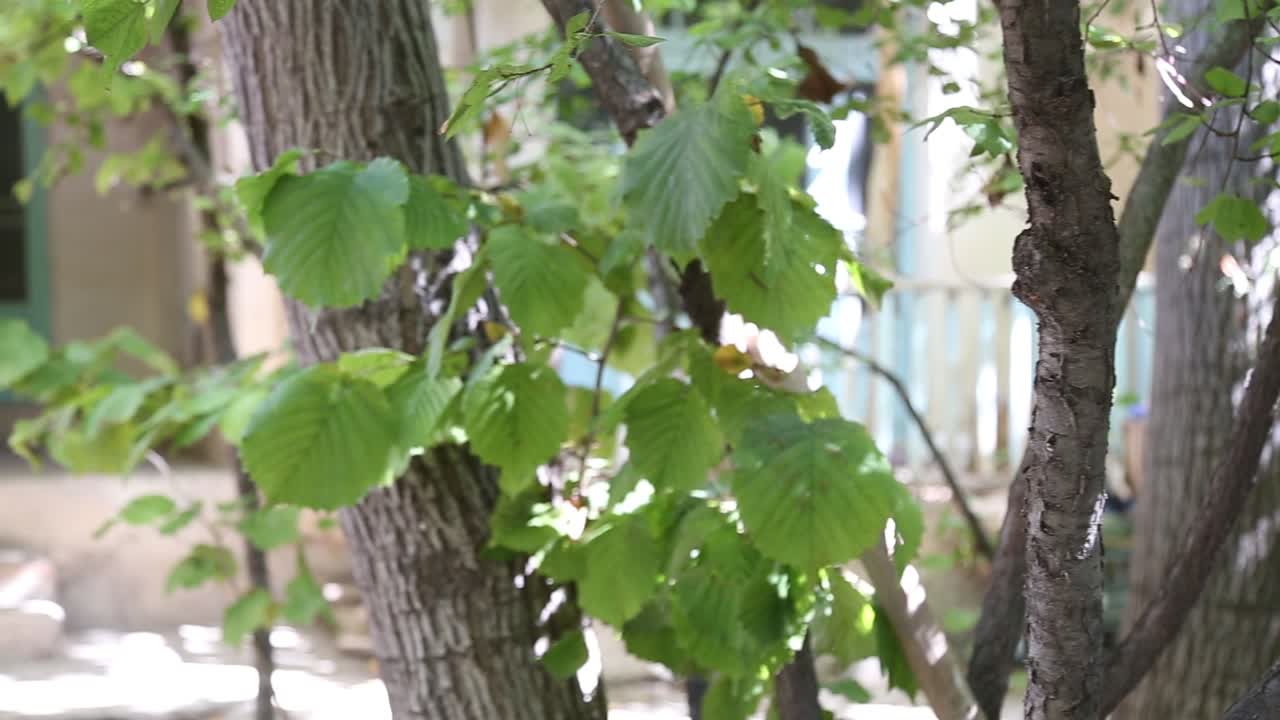 현관에 휠체어가 있는 노인의 집