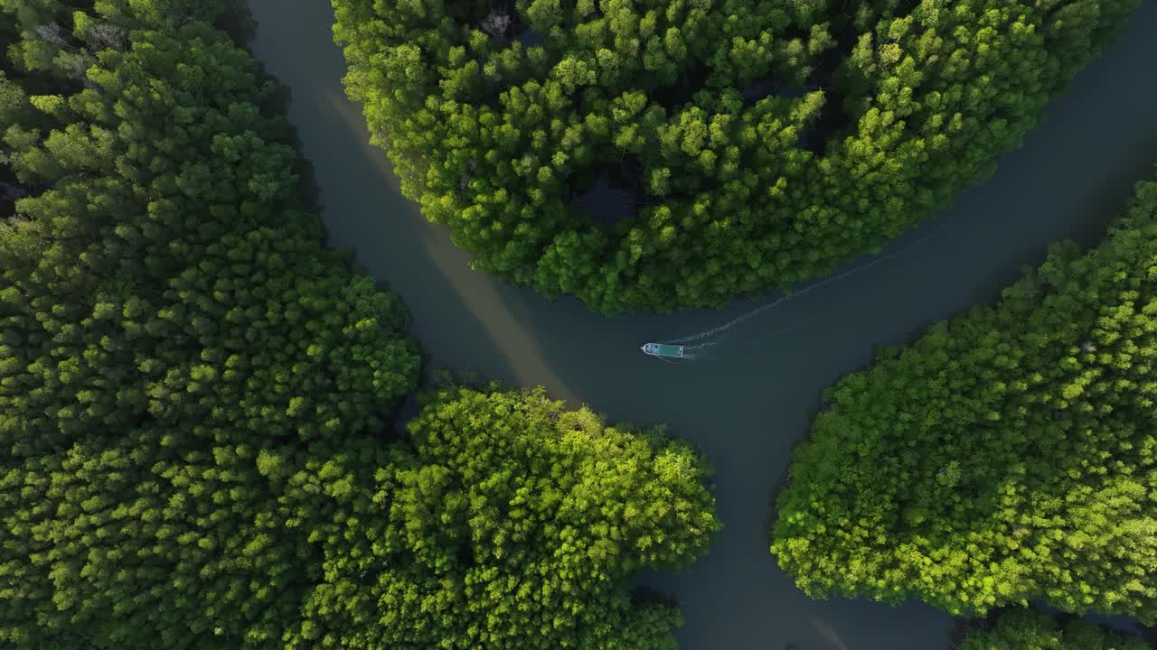 Sunset aerial of river boat winding through Salak Khok forest, Thailand