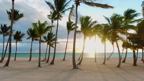 Tropical-sand-beach-with-palm-trees-in-sunset,-sunrise,-aerial-dolly-shot-flying-through-the-trunks,-wild-pristine-beach-in-Hawaii