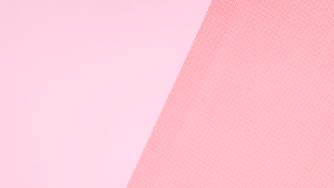 white frame for text appear from the bottom with flowers on pink theme. stop motion