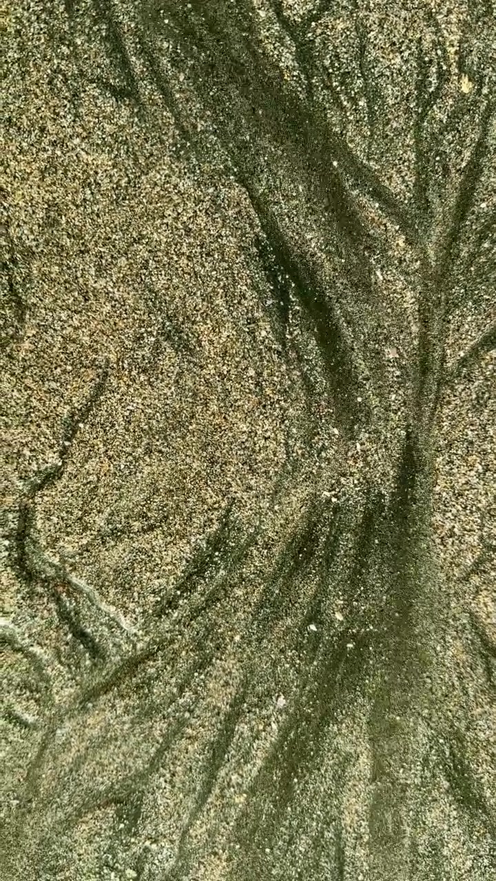 Close-up of Water Flowing Over Sand Creating Intricate Natural Patterns