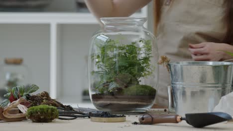 a young woman creates a small ecosystem in a glass terrarium and carefully cleans the plants - a forest-in-a-jar concept close-up