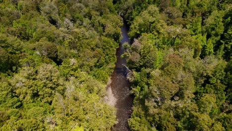 Dolly-En-Vista-Aérea-De-Un-Bosque-De-Arrayanes-Con-Un-Río-Rojizo-En-El-Parque-Tepuhueico,-Isla-De-Chiloé,-Chile.