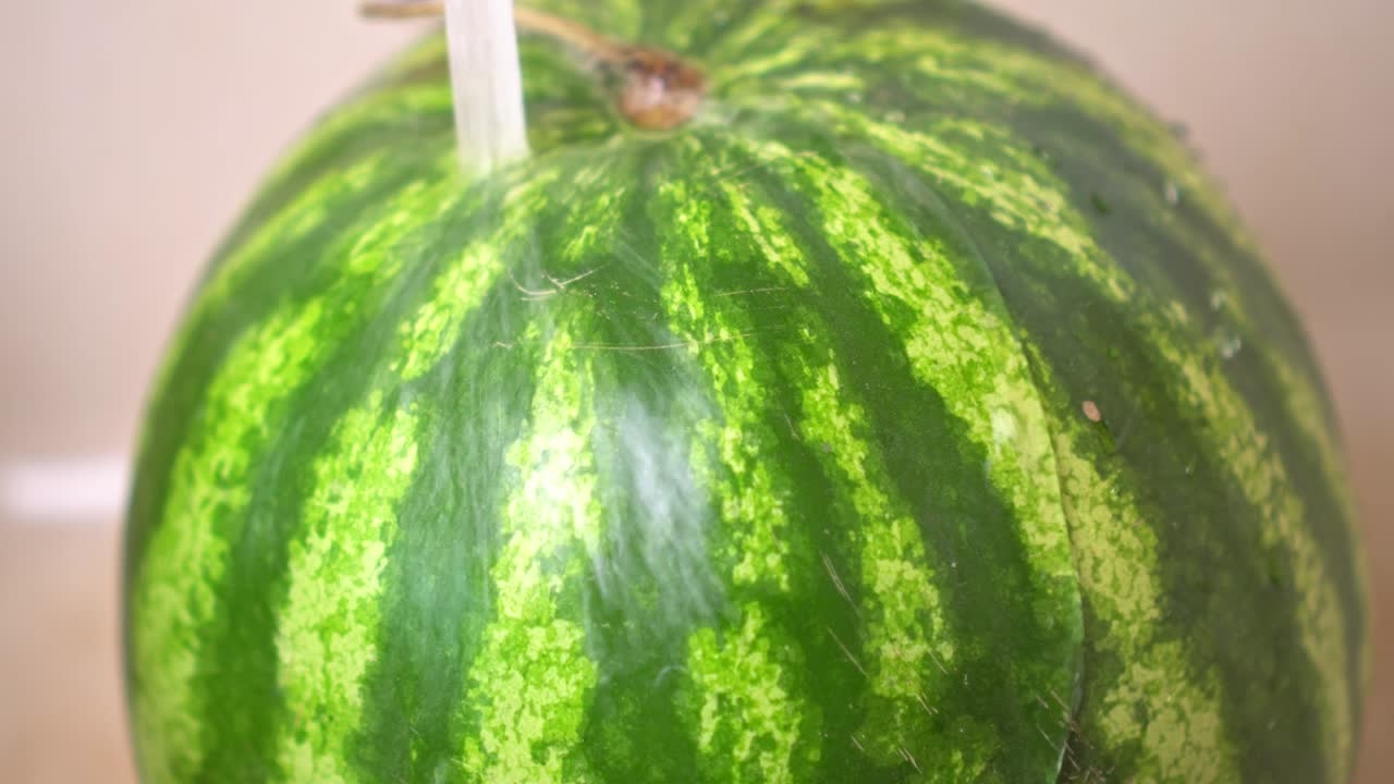 수박을 에서 흐르는 차가운 물 에서 으십시오.