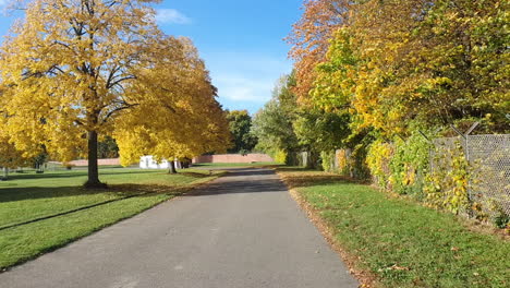 Traveling-forward-in-a-park-in-Berlin-in-Autumn-colorful-leaves-30-FPS-5-sec