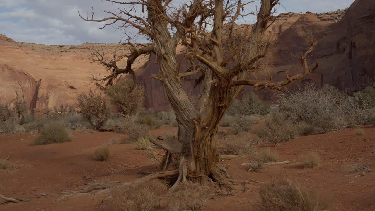 POV van een wandeling door het woestijnlandschap van Monument Valley met zandsteenformaties en bomen. Prachtig beeldmateriaal van een buitenreis met natuur, eenzaamheid en een iconisch Amerikaans zuidwestelijk landschap