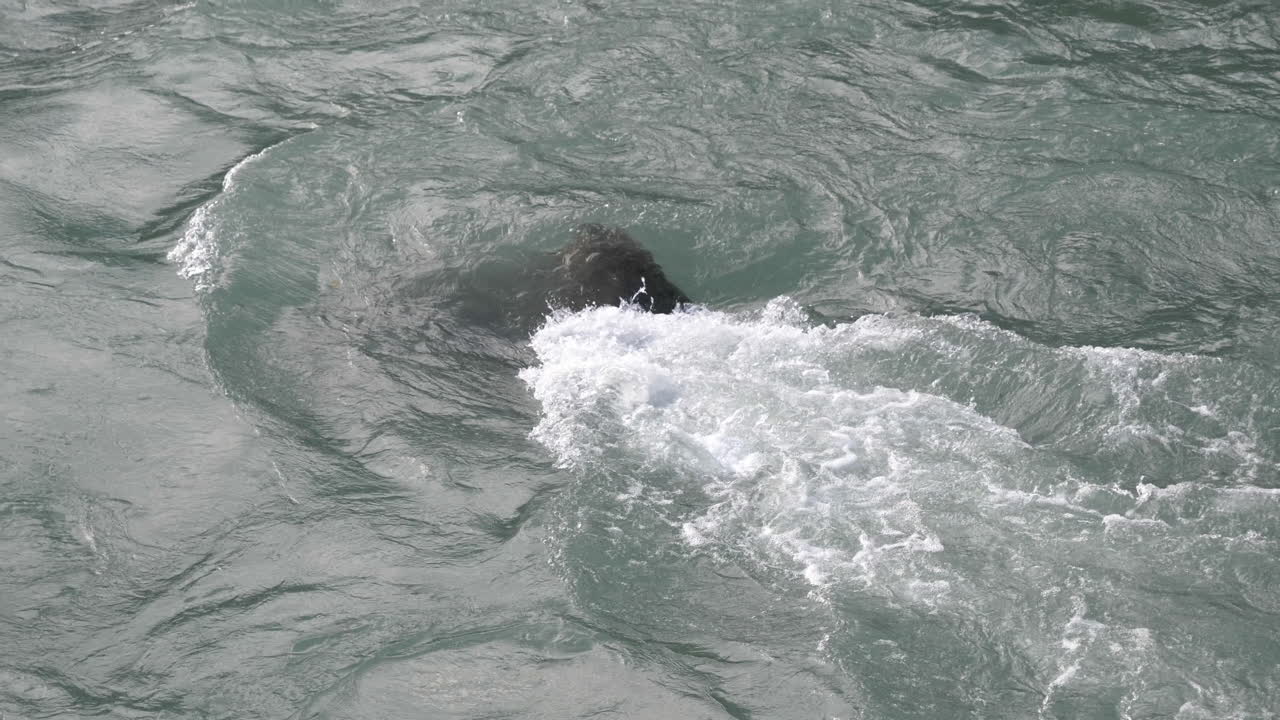 물이 잠긴 바위 위로 돌진합니다 - 4k