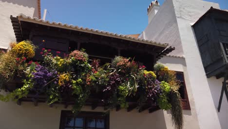 a shot of a balcony full of colorful flowers