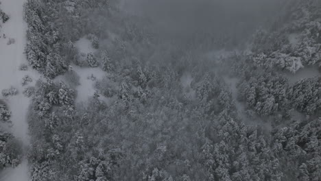 snowy, foggy winter aerial footage