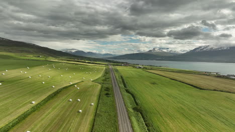 Leere-Straße-In-Island-Mit-Ackerland-Luftaufnahme