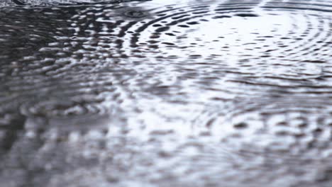 La-Lluvia-Desciende-Creando-Un-Lienzo-Transitorio-Para-El-Ballet-Líquido-De-La-Naturaleza