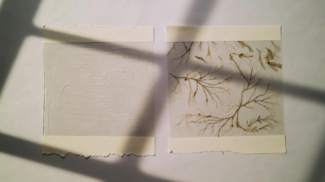 Skiftende sol kaster skygge, der bevæger sig hen over to tapede firkanter på skrivebordet, viser gesso, grenkunst, nål