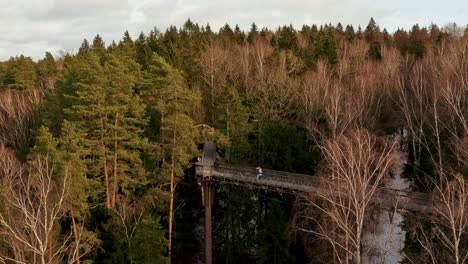 view of anyksciai laju takas, treetop walking path complex with a walkway, an information center and observation tower, located in anyksciai, lithuania near sventoji river