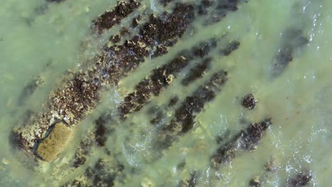 vista aérea estática de arriba hacia abajo de la marea rodando sobre rocas en la playa de brighton, reino unido