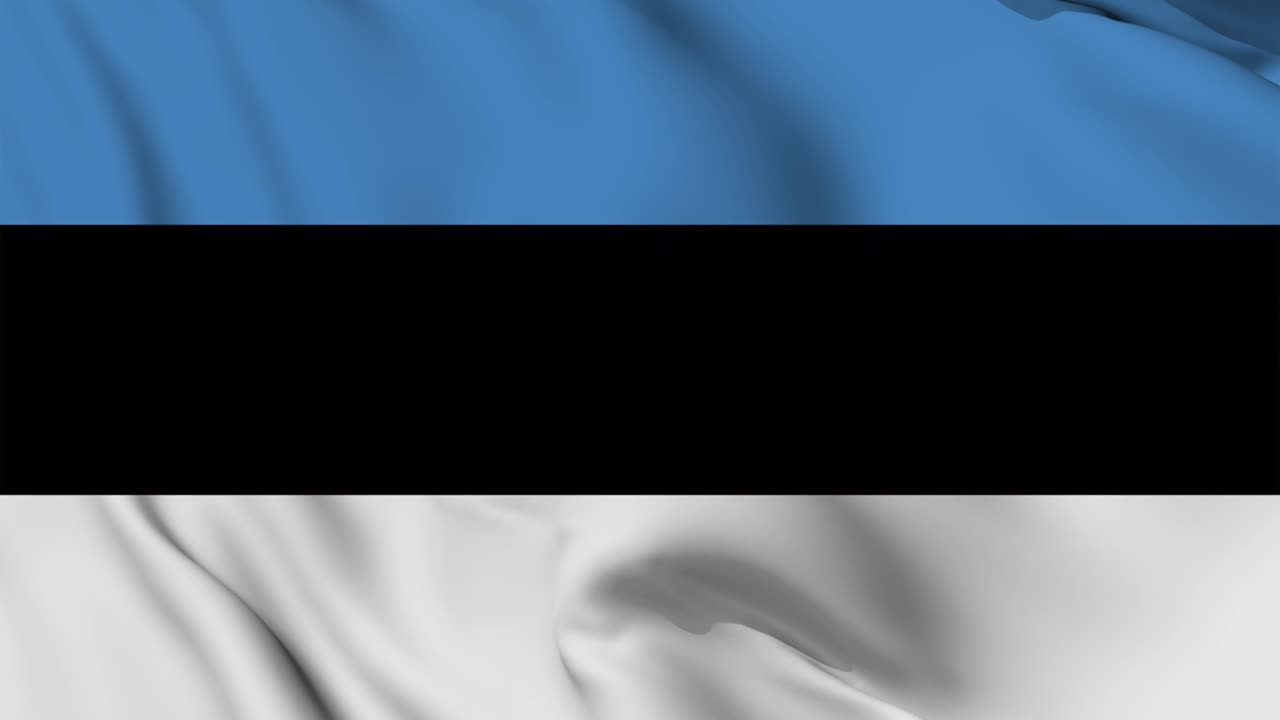 에스토니아의 발이 무작위로 흔들리는 애니메이션